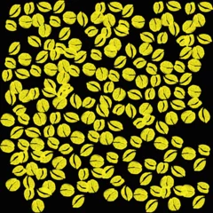 Selbstklebende Fototapeten Isolated coffee yellow beans © carmenbobo