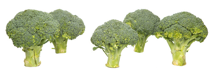 Broccoli over white background