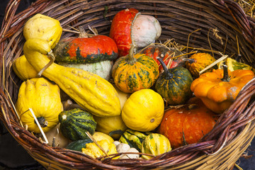 Colorful Vegetables in a Marketplace, Rome, Italy