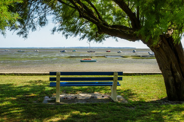 Plage marais basse