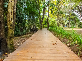 Wooden footpath in park