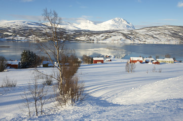 Winter view to Lavangen fjord and Soloy village, Norway.