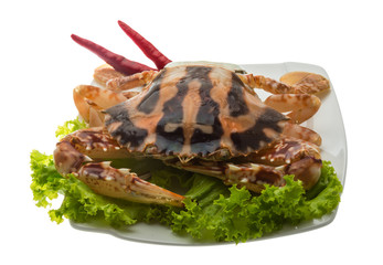 Red crab