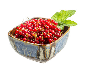 Red currant