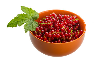 Red currant