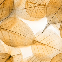Macro leaves seamless texture