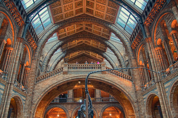 Naklejka premium Natural history museum
