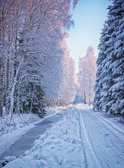 Road in winter forest valley