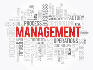 Word cloud of MANAGEMENT related items, vector background