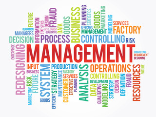 Word cloud of MANAGEMENT related items, vector background