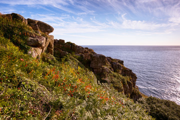 Rugged cliff tops near Porth Nanven Cornwall Uk