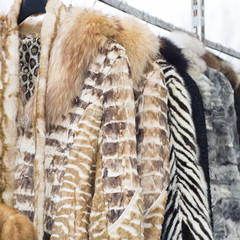 Fur coats made for ladies and exposed for sale