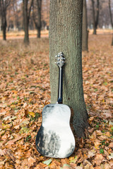 Guitar on autumn leaves