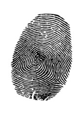 vector fingerprint