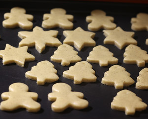 Fototapeta na wymiar Domestic production of Gingerbread Cookie