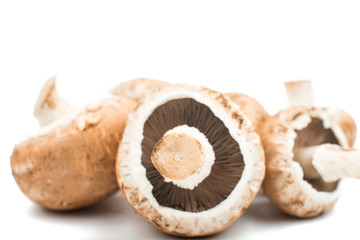 mushroom