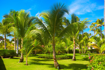 Fototapeta na wymiar Tropical resort.