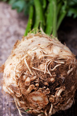 frischer Sellerie auf einem Holzbrett