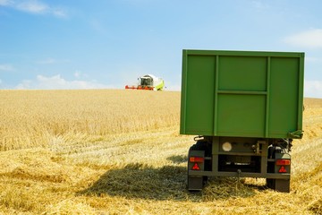 Getreideernte, Anhänger zum Getreide abtransportieren