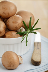 Braune Champignons