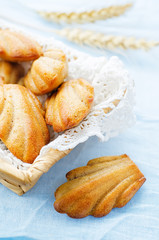 wholegrain Madeleine
