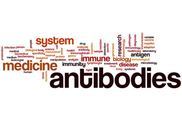 Antibodies word cloud