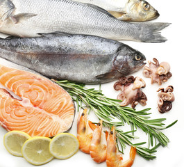 Fresh catch of fish and other seafood isolated on white