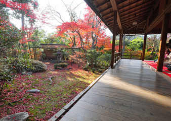 妙心寺　大法院　秋の特別拝観