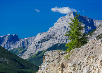 Kananaskis View