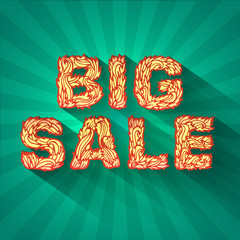 vintage text big sale with fire texture on green background conc