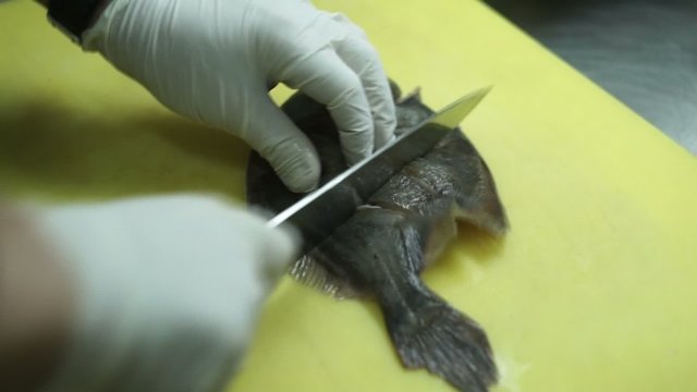 cutting preparation flatfish plaice flounder