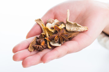 Holding Chinese traditional herbal.