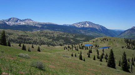 Colorado Trail near Little Molas Lake - Grass and Peaks