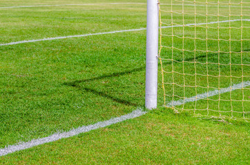 Green soccer field with white line
