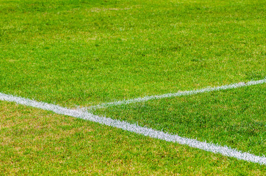Green soccer field with white line