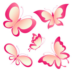 butterflies design