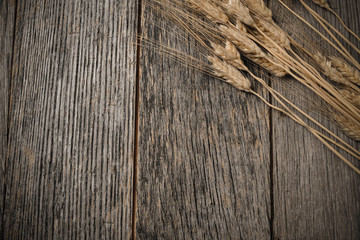 Close Up of Wheat on Rustic Wooden Table