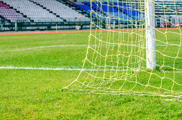 Green soccer field with white line