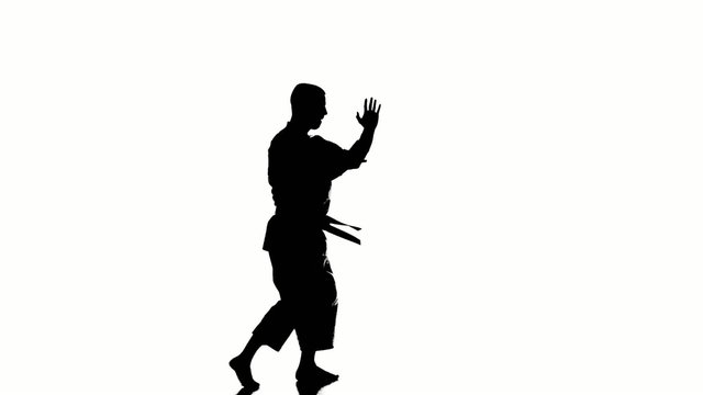 Silhouette of a karate man exercising against white background