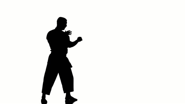 Silhouette of a karate man exercising against white background