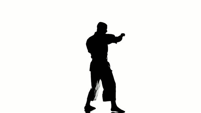 Silhouette of a karate man exercising against white background.