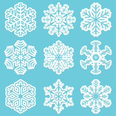 Fototapeta premium collection of different white snowflakes
