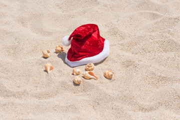 Fototapeta na wymiar Santa hat and conch shells on the sandy beach