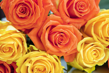 bouquet de roses jaune et orange