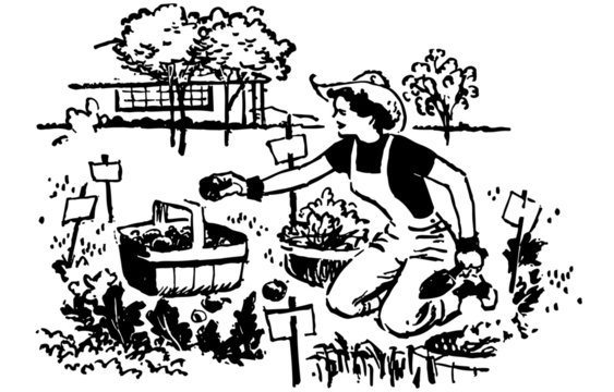 Woman Gardening