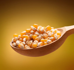 Yellow corn in a wooden spoon