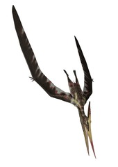 Pteranodon diving - 3D render © Elenarts