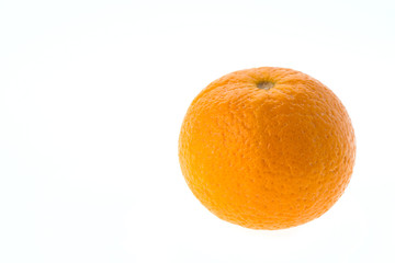 Orange fruit