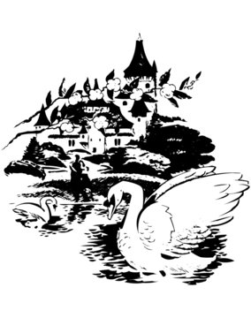 Swans In The Lake