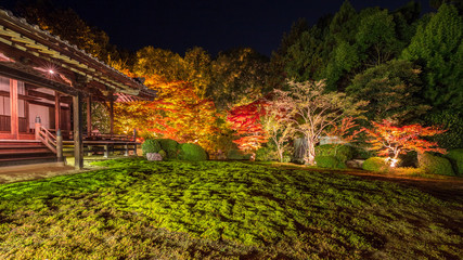 秋の随心院門跡・ライトアップ